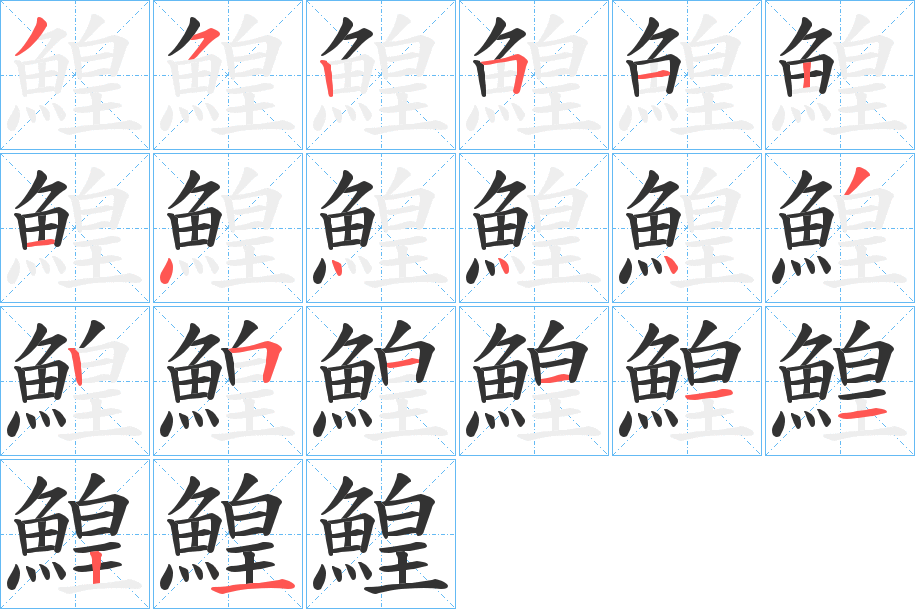 鰉字的笔顺分布演示