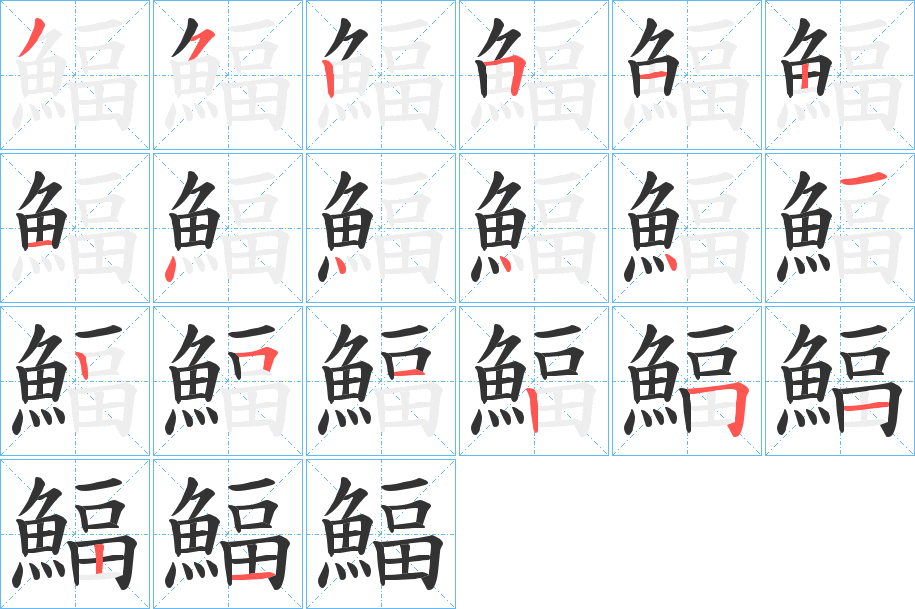 鰏字的笔顺分布演示