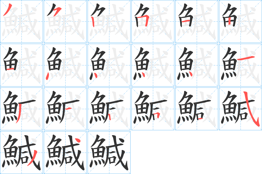 鰔字的笔顺分布演示