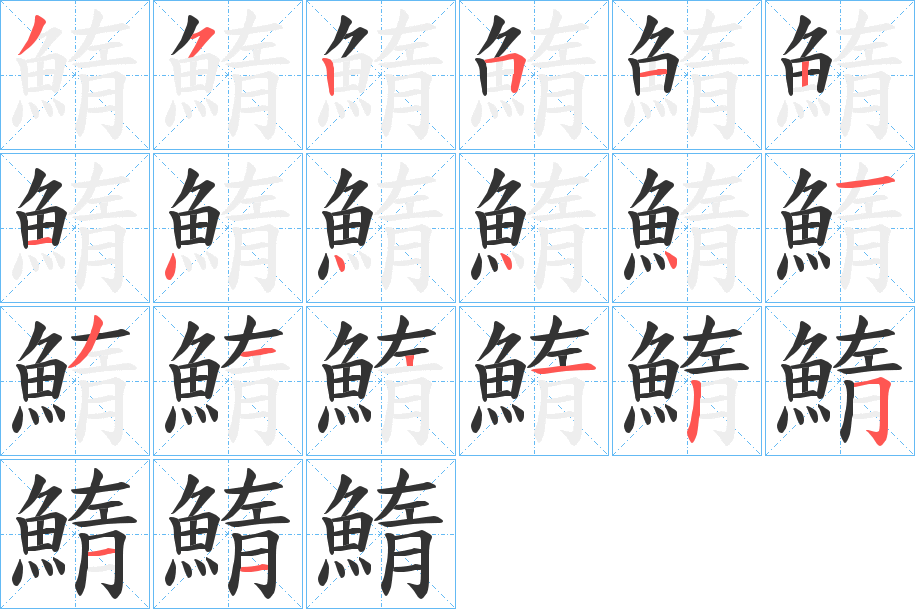 鰖字的笔顺分布演示