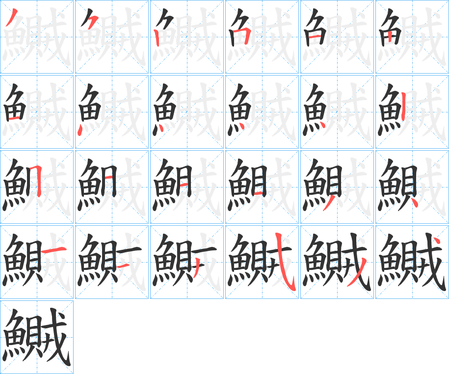 鱡字的笔顺分布演示