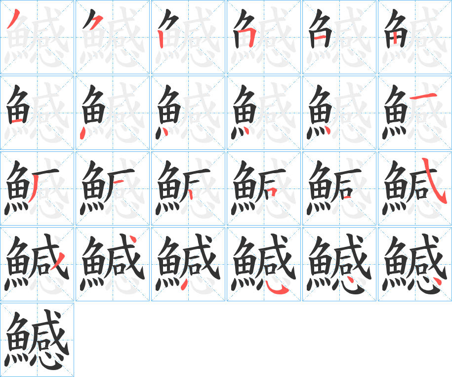 鱤字的笔顺分布演示