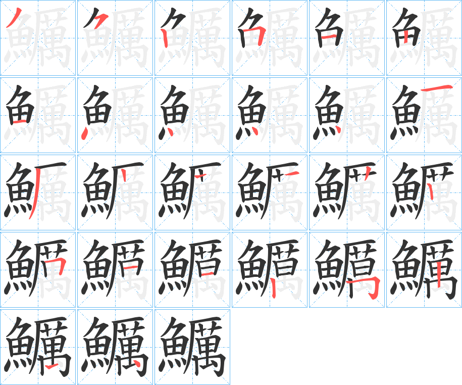 鱱字的笔顺分布演示