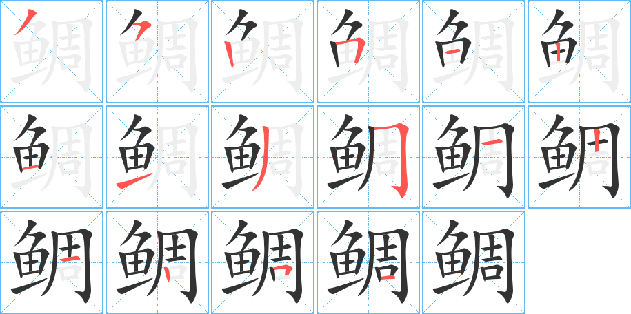 鲷字的笔顺分布演示