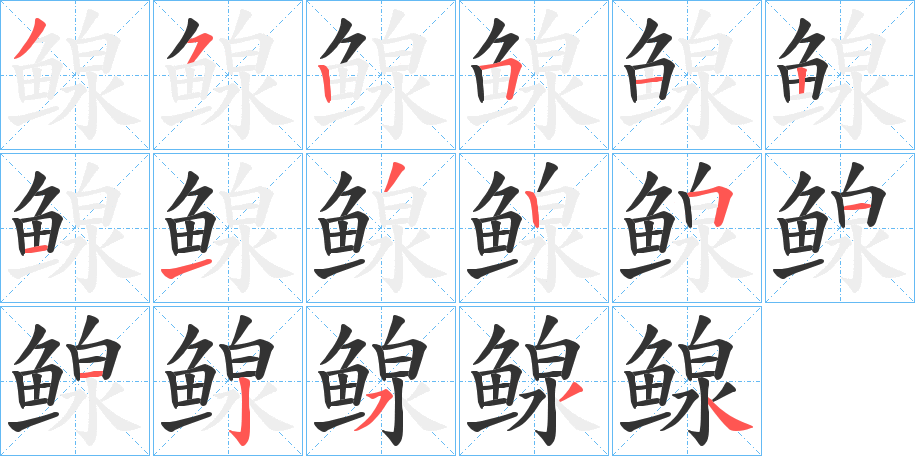 鳈字的笔顺分布演示