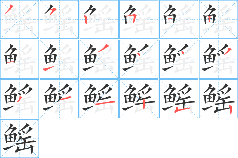 鳐字的笔顺分布演示