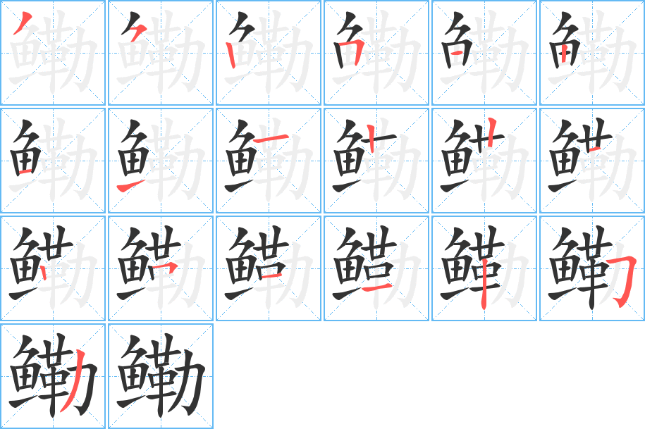 鳓字的笔顺分布演示