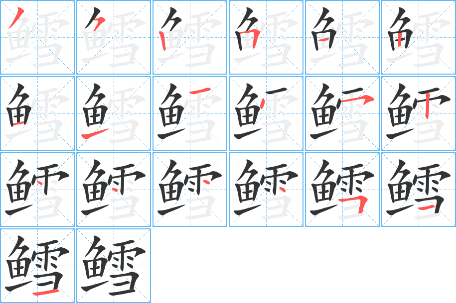 鳕字的笔顺分布演示