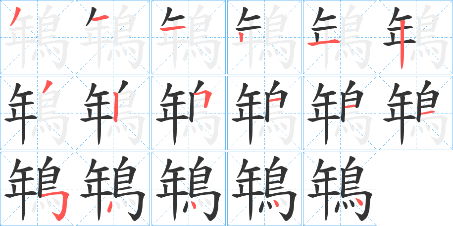 鵇字的笔顺分布演示