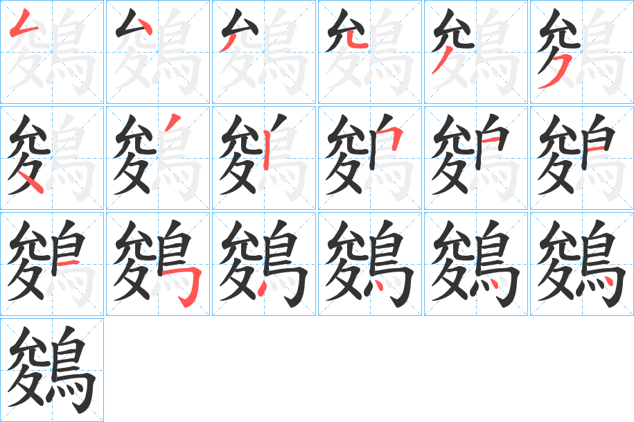 鵕字的笔顺分布演示