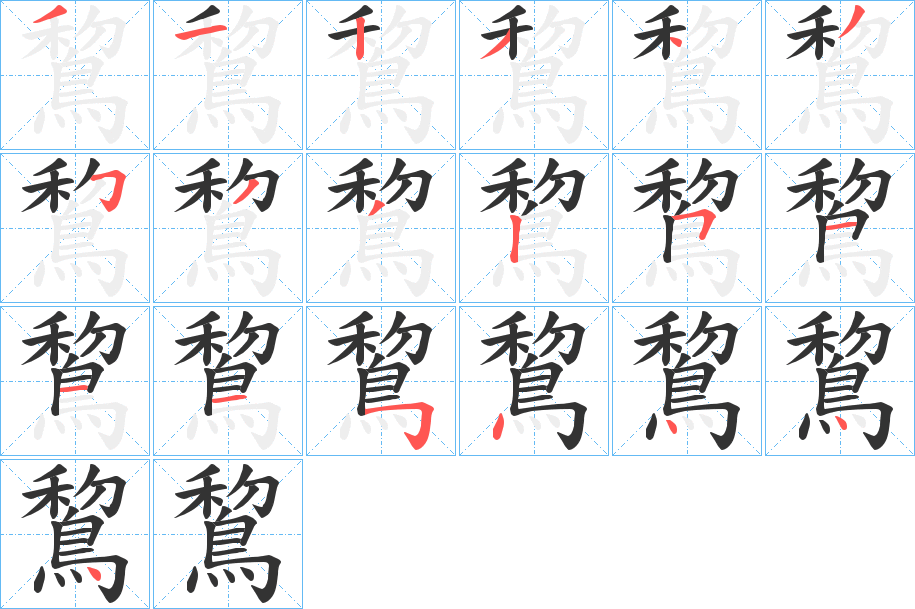 鵹字的笔顺分布演示