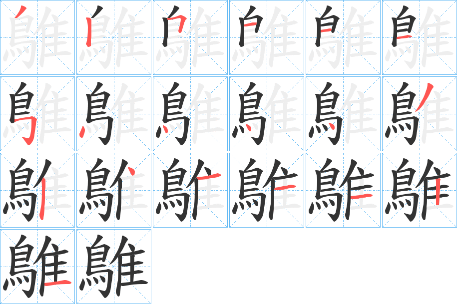 鵻字的笔顺分布演示