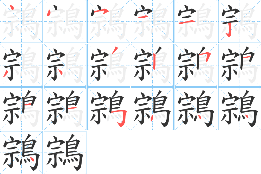 鶎字的笔顺分布演示