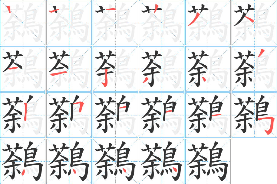 鷋字的笔顺分布演示