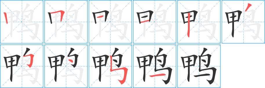 鸭字的笔顺分布演示