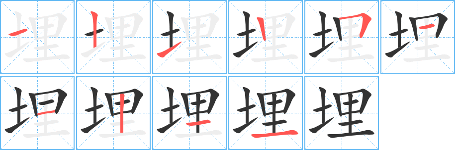 埋字的笔顺分布演示