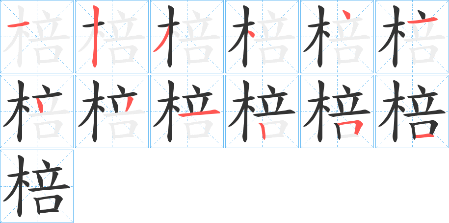 棓字的笔顺分布演示