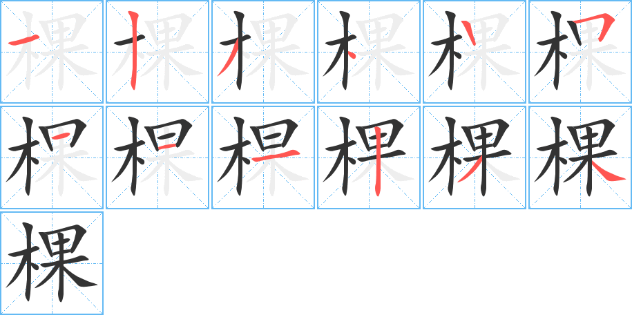 棵字的笔顺分布演示